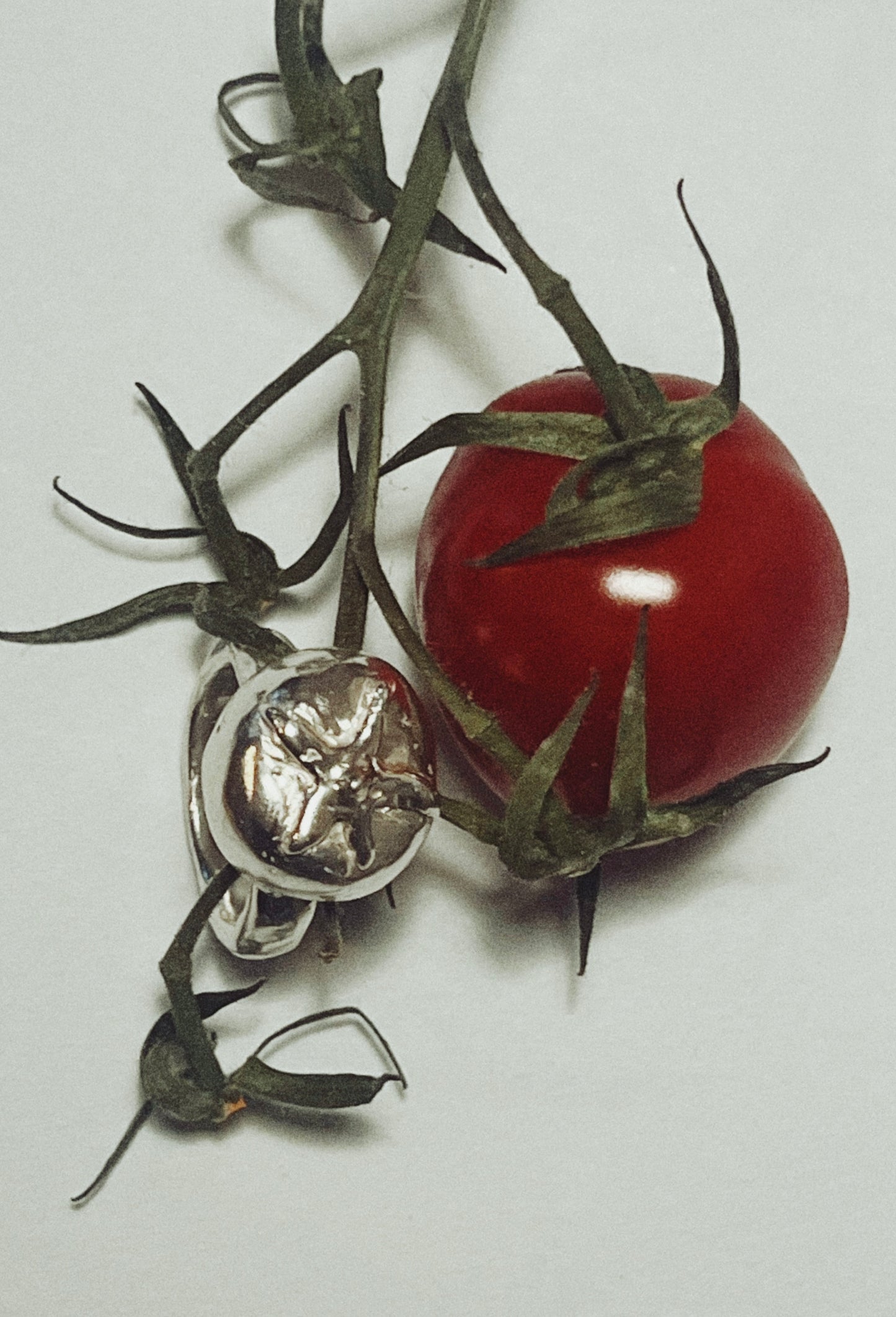 One Tomato ring