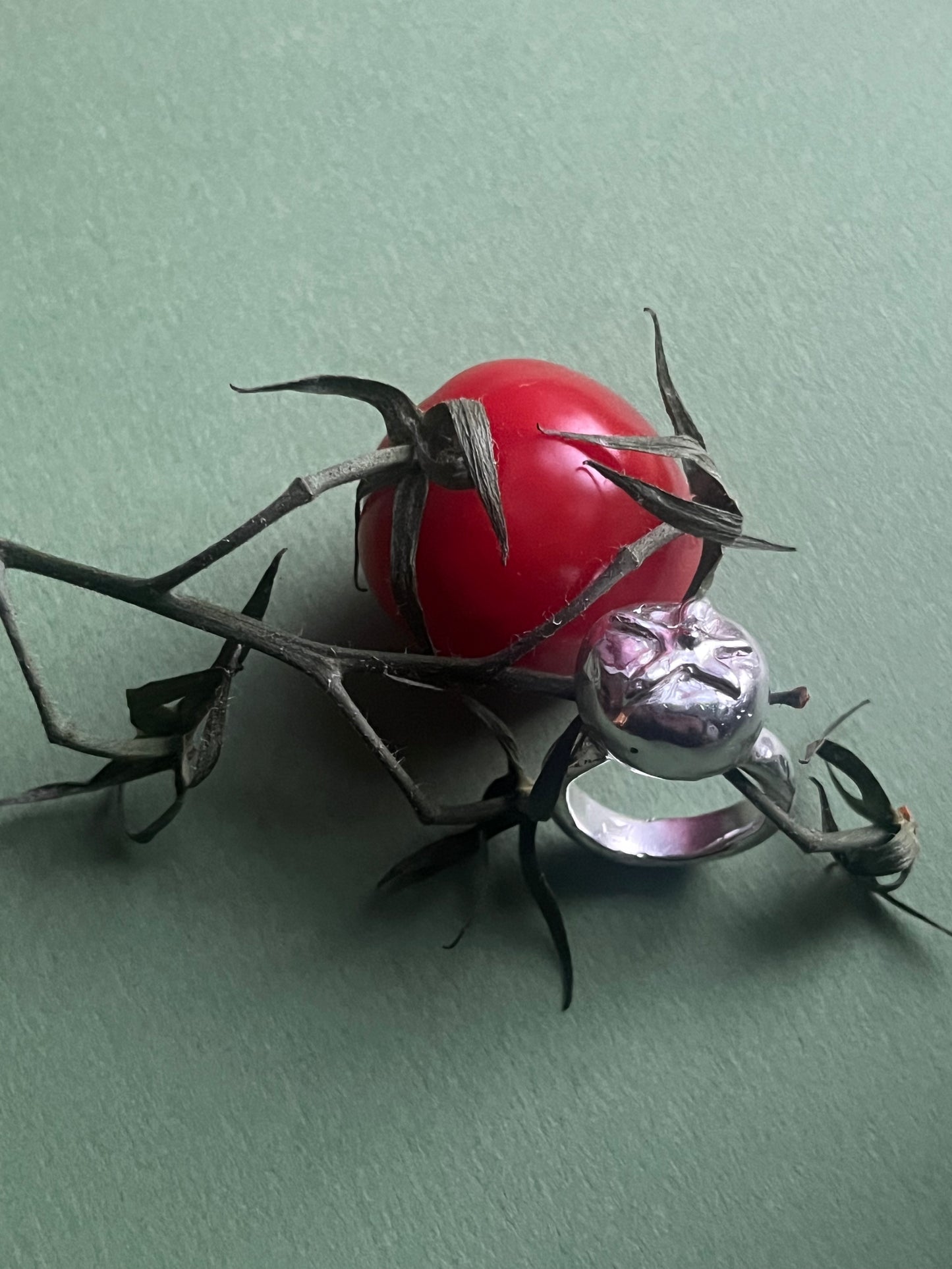 One Tomato ring